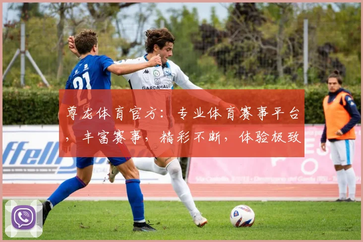 尊龙体育官方：专业体育赛事平台，丰富赛事，精彩不断，体验极致竞技乐趣，尽在尊龙